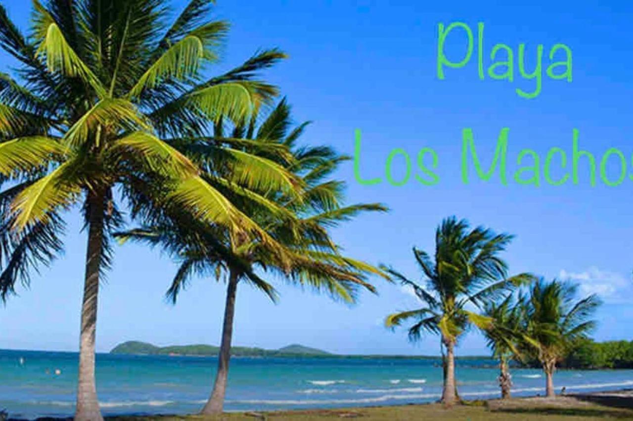 Ocean & Mountains View, Marina, Ferry, Vista Mar, Costa Esmeralda Ceiba Ngoại thất bức ảnh