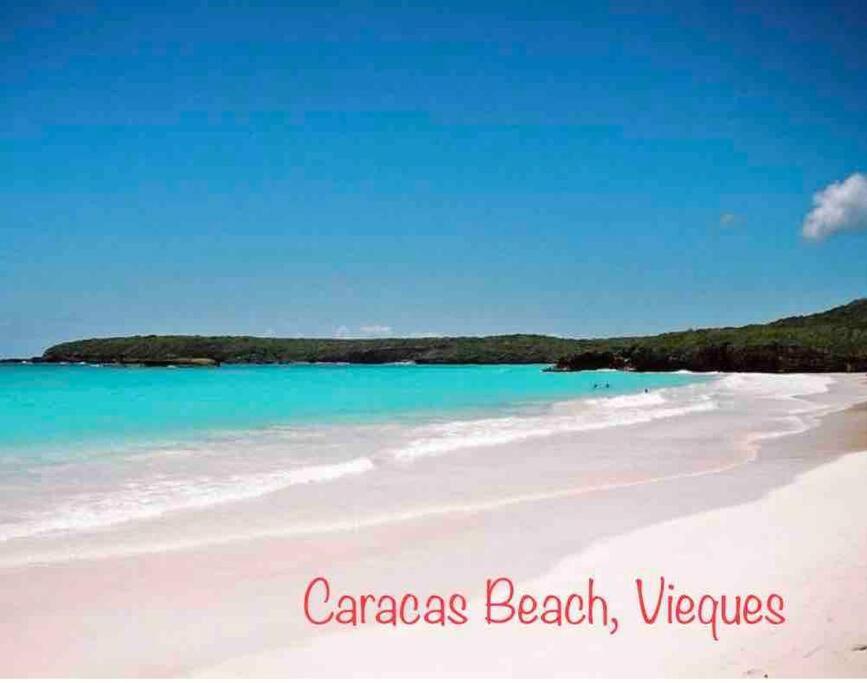 Ocean & Mountains View, Marina, Ferry, Vista Mar, Costa Esmeralda Ceiba Ngoại thất bức ảnh