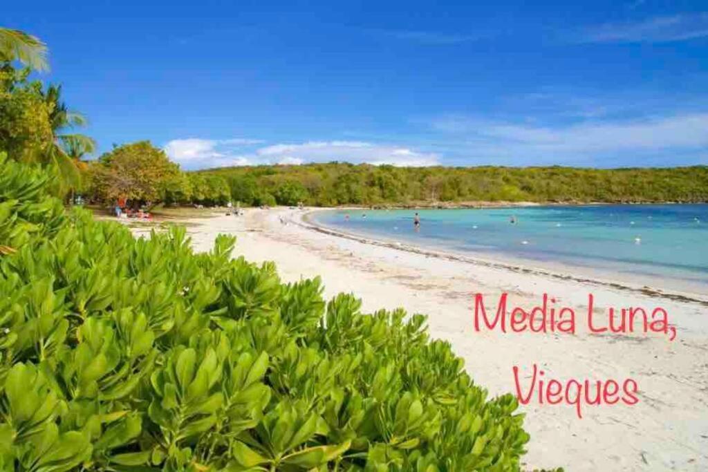 Ocean & Mountains View, Marina, Ferry, Vista Mar, Costa Esmeralda Ceiba Ngoại thất bức ảnh